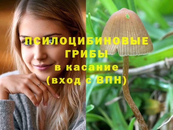 спайс Михайловск