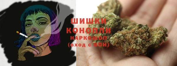 бошки Медногорск