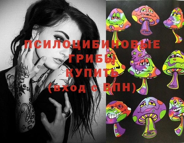 дмт Михайлов