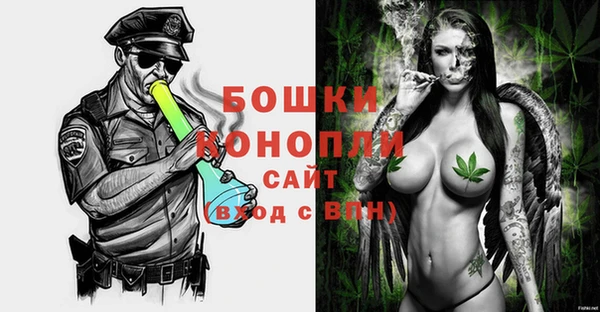 дживик Мегион