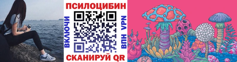 Галлюциногенные грибы Psilocybine cubensis  хочу наркоту  Новосиль 